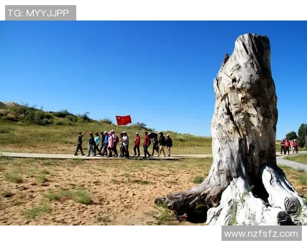 姆巴佩带领法国队追逐荣耀梦想的传奇故事与激情之旅漫画